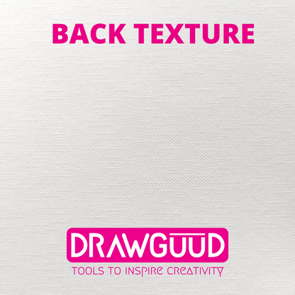DRAWGUUD Pack of 2 300 GSM CANVAS TEXTURE PAPER FOR PAINTING, LOOSE SHEETS